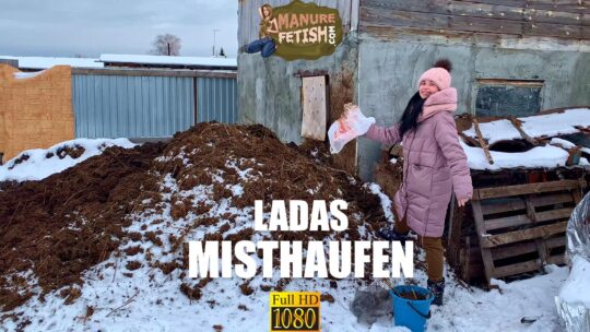 Ladas Misthaufen